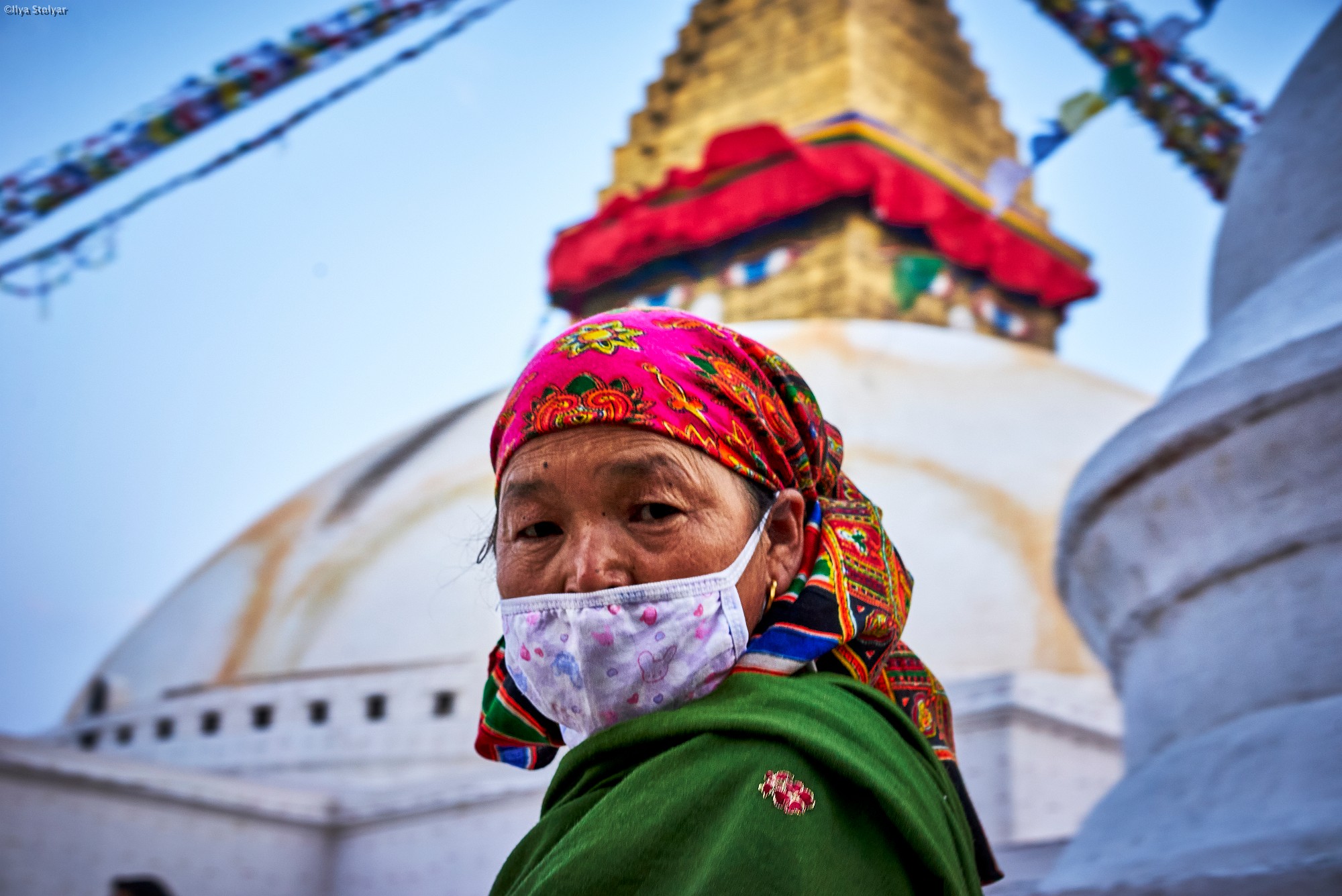 _DSC7831 