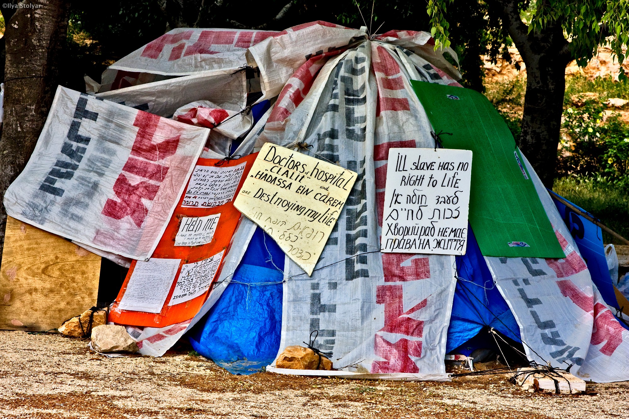_MG_5528-Edit 