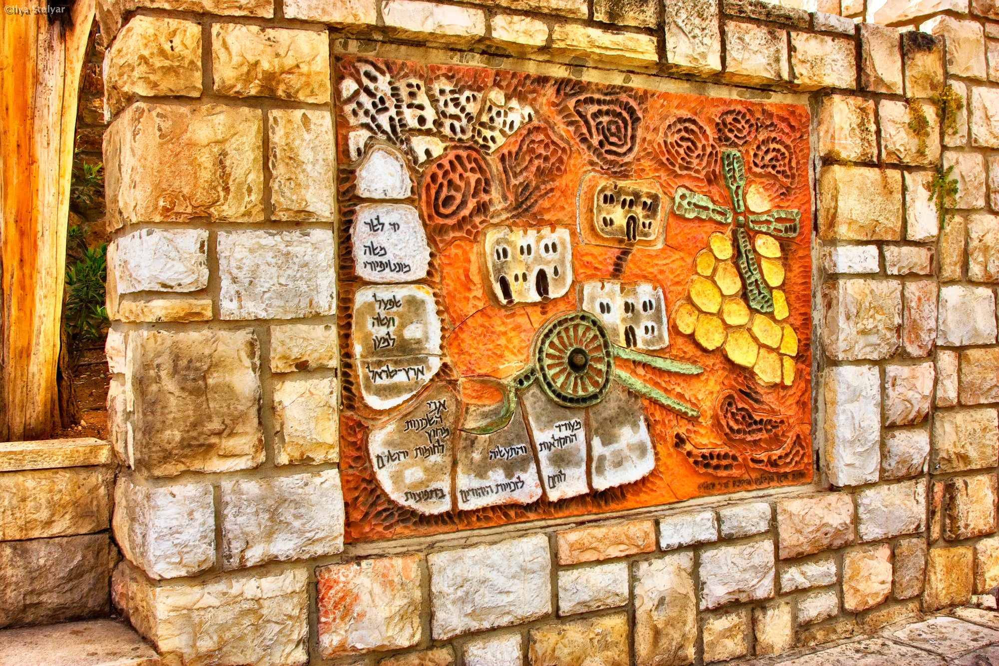 _MG_5646-Edit 
